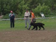 Превью фото № 153492