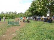 Превью фото № 153493