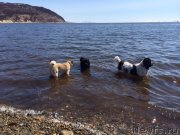 Превью фото № 153498