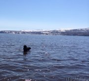 Превью фото № 153499