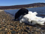 Превью фото № 153501