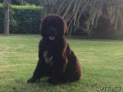 Превью фото № 153502