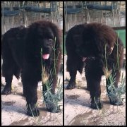 Превью фото № 153503