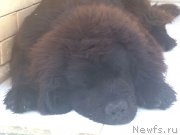 Превью фото № 153506