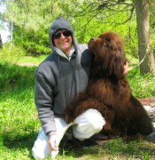 Превью фото № 153516