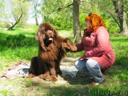 Превью фото № 153517