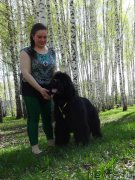 Превью фото № 153758