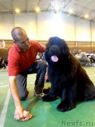 Превью фото № 153782