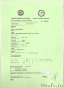 Превью фото № 153876