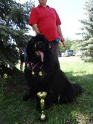 Превью фото № 153877