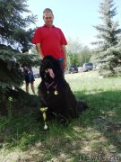 Превью фото № 153878