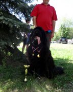 Превью фото № 153880