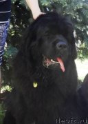 Превью фото № 153881