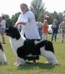 Превью фото № 1539