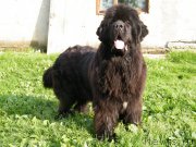 Превью фото № 153931