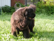 Превью фото № 153936