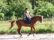 Превью фото № 153939