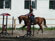 Превью фото № 153941