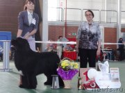 Превью фото № 153984