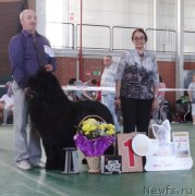 Превью фото № 153987