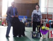 Превью фото № 153995