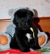 Превью фото № 154011