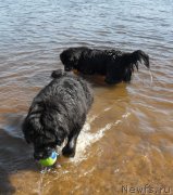 Превью фото № 154048