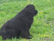 Превью фото № 154134