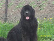 Превью фото № 154135