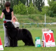 Превью фото № 154145