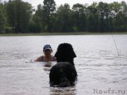 Превью фото № 154201