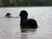 Превью фото № 154202