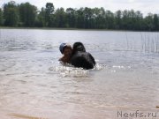 Превью фото № 154204