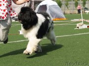 Превью фото № 154237