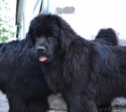 Превью фото № 154249