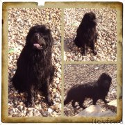 Превью фото № 154263