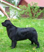 Превью фото № 154277