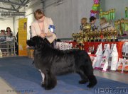 Превью фото № 154312