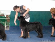 Превью фото № 154325