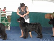 Превью фото № 154326