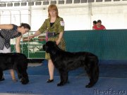 Превью фото № 154328