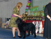 Превью фото № 154352