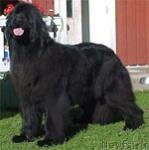 Превью фото № 1544