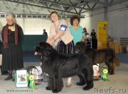 Превью фото № 154405