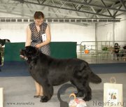 Превью фото № 154458