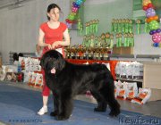 Превью фото № 154467