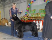 Превью фото № 154469