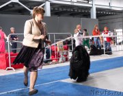 Превью фото № 154477