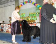 Превью фото № 154478