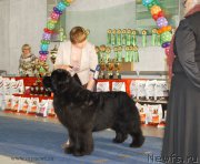 Превью фото № 154479